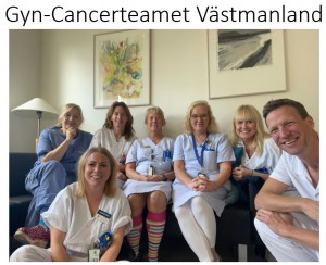 Gyncancerteamet i Västmanland